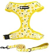 Dog Harness and Leash Set, Adjustable Dog Harness, Dog Leash, No Pull No Choke Puppy Harnesses fo...