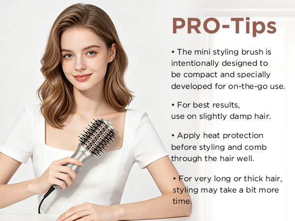 dual voltage brush