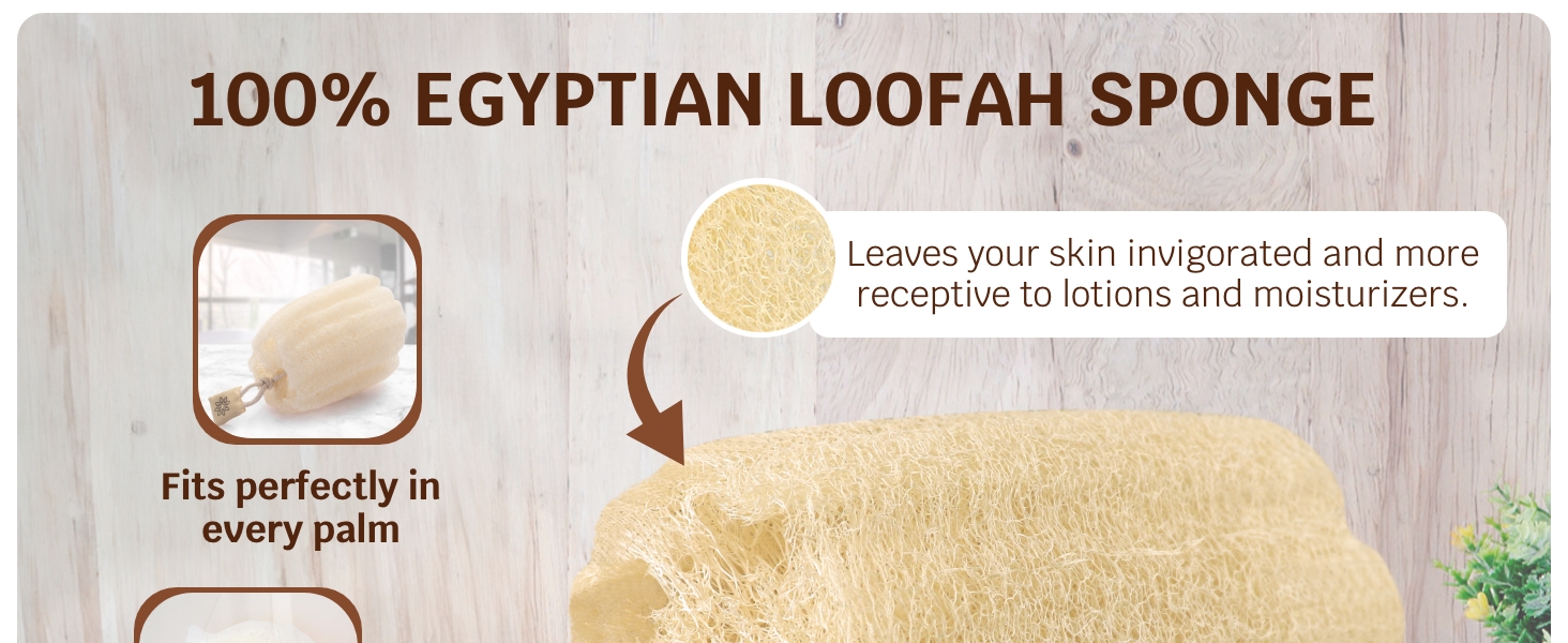 Loofah Sponge