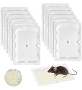 Qualirey 12 Pack Mouse and Insect Glue Traps, Strong Sticky Mice Traps Indoor for Home, Pre Scent...