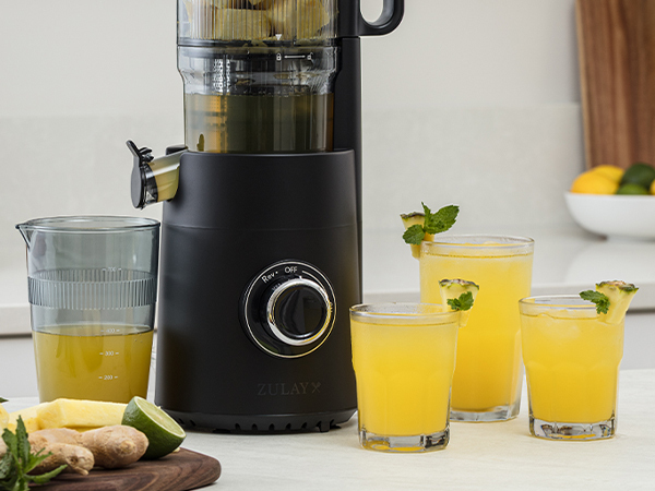 Masticating Juicer