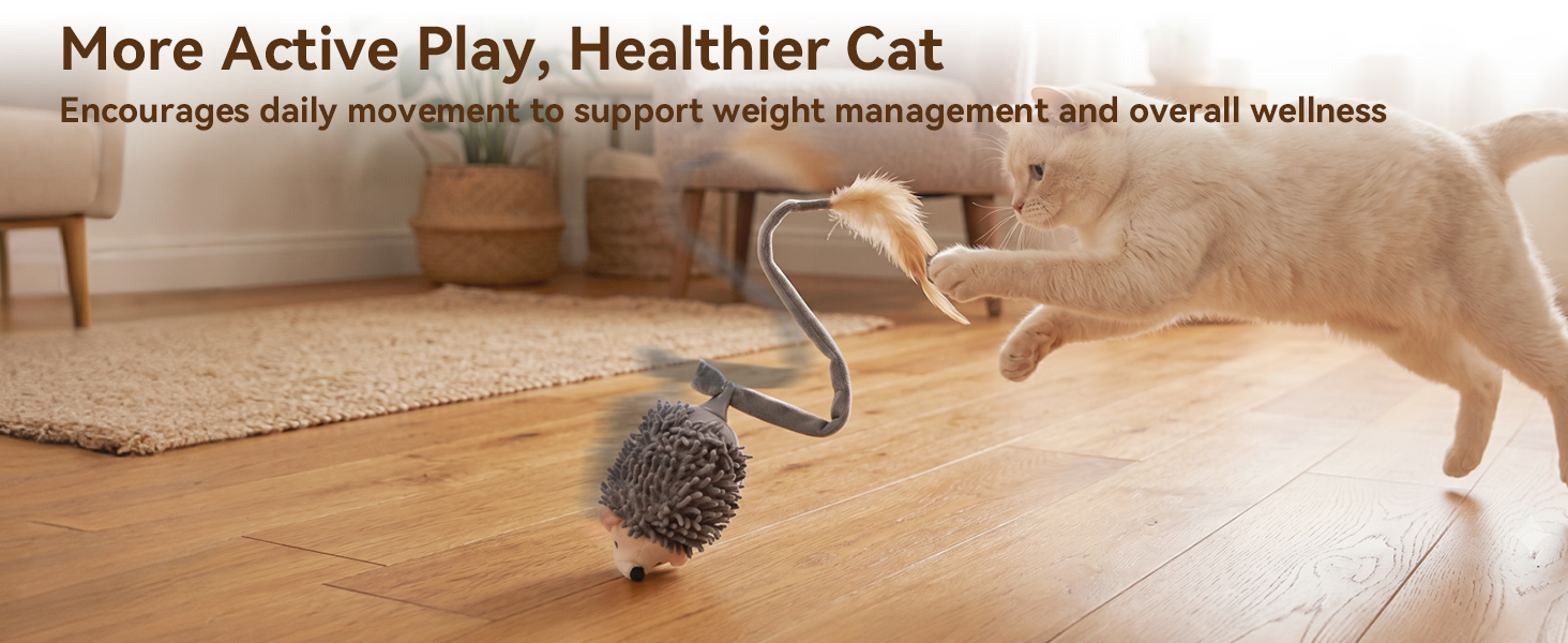 cat toys indoor interactive kitten toys automatic