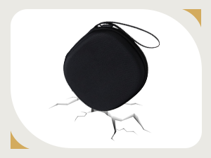 portable reading light case