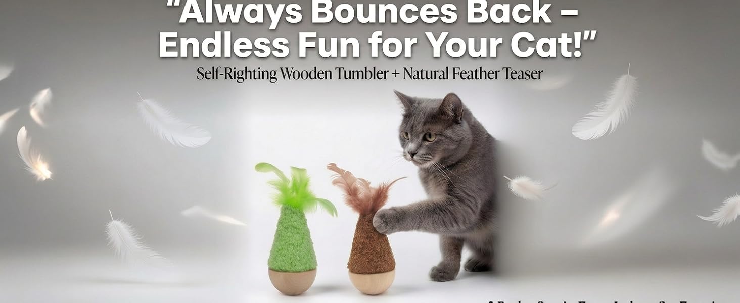 cat toys interactive