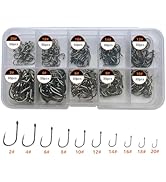 AMHDV 300Pcs/ 500Pcs/ 1000Pcs Small Fishing Hooks, 10 Different Sizes Tiny Fish Hook Set for Fres...