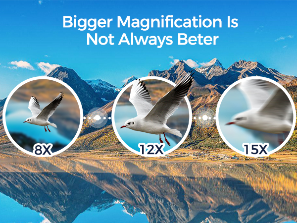10x42 binoculars