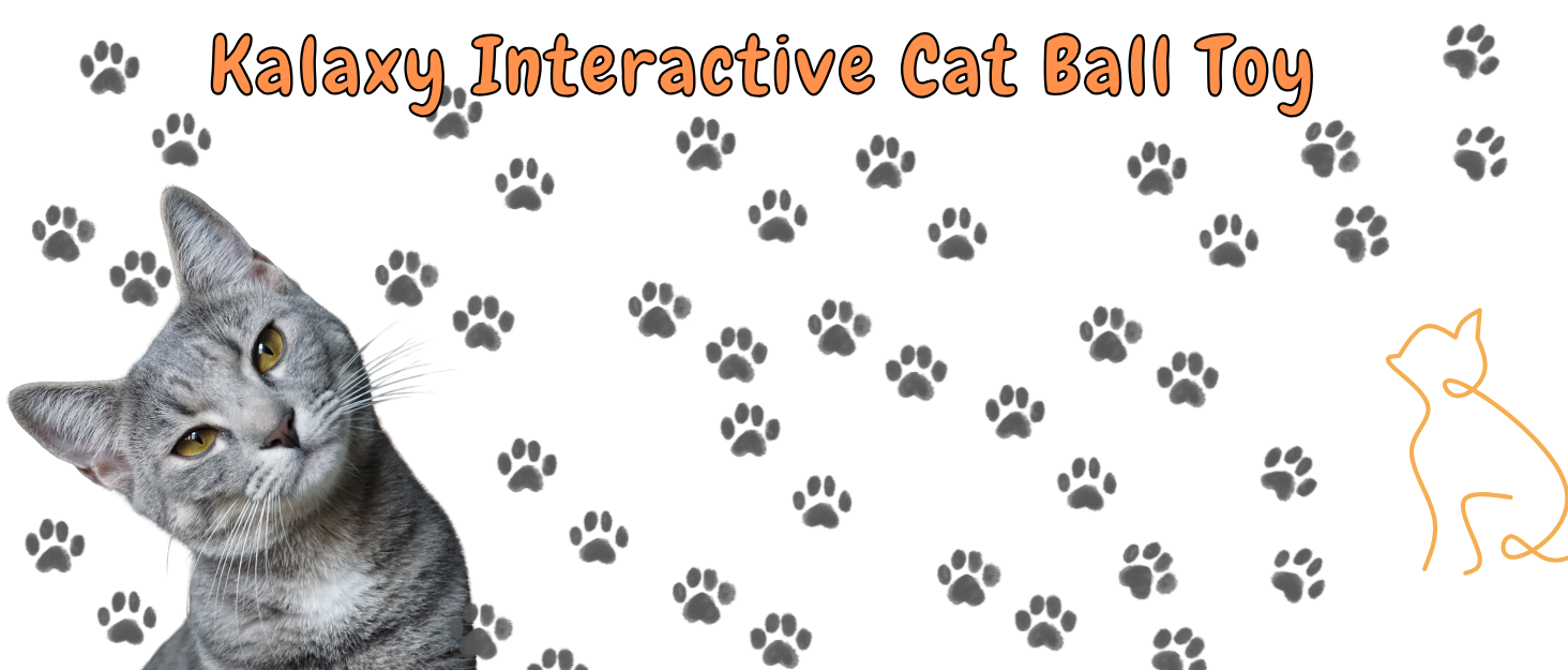 cat ball