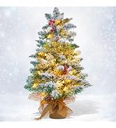 Small Mini Table top Flocked Christmas Tree with 50 LED Lights 24 Inch /2FT Little Prelit Christm...