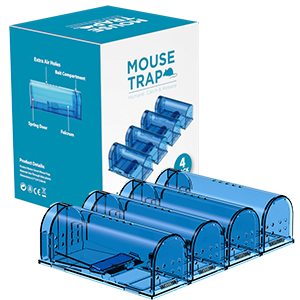 mouse trap2