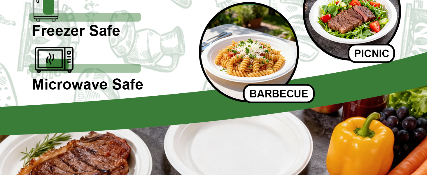 disposable plates for party