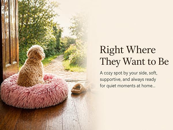 plush dog bed MP A+ 4-1