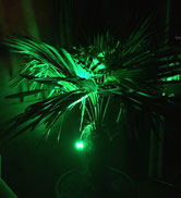 green solar spotlights