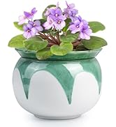 BUYMAX African Violet Pots, 6 inch Ceramic Easy Self Watering Plant Pot for Busy Plant Lovers, Au...
