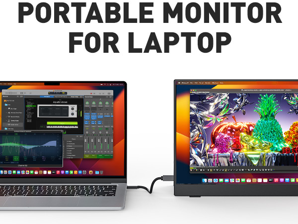 portable monitor