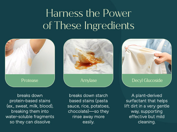 Harness the Power of These Ingredients