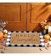Tinideya 2 Pcs Door Mat Welcome Non Slip Coir Mats Floor Layering Doormats Seasonal for Front Por...