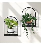 storenization Plant Shelves for Wall Set of 2, Hanging Planter for Indoor Plant Stand Plants Wall...