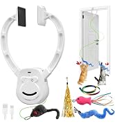 ANNSKIN Automatic Interactive Cat Toy Rechargeable, Hanging Cat Toy, Cat Door Toy, Cat Enrichment...