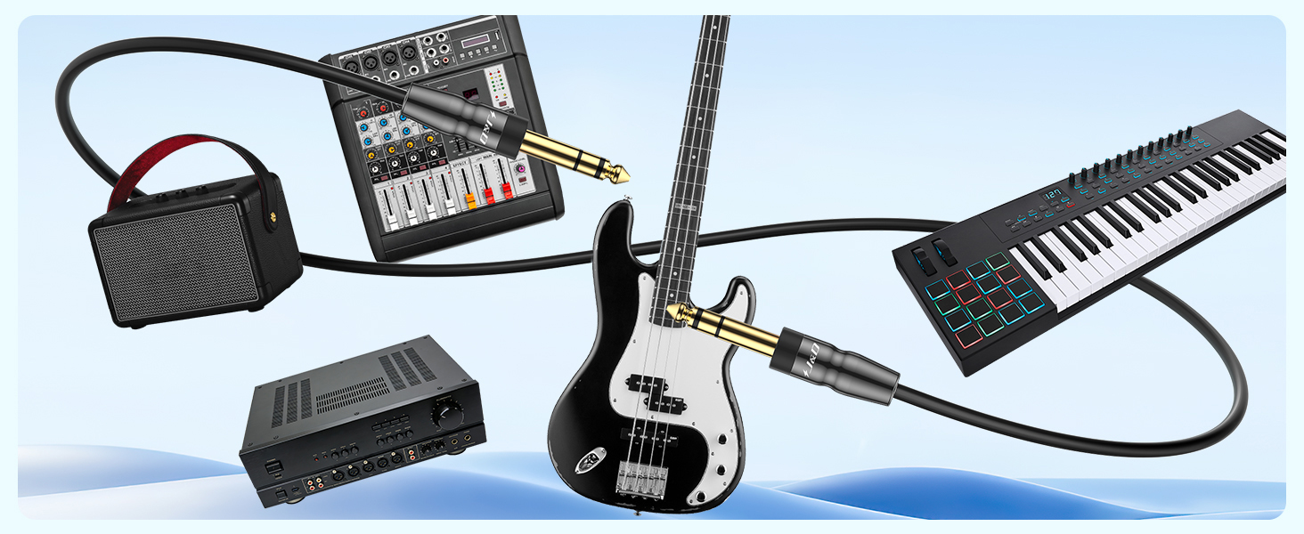 bass guitar accessories