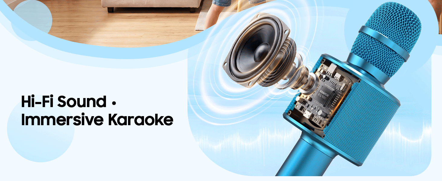 karaoke microphone