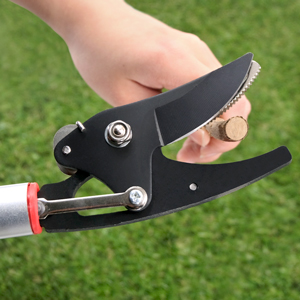 cut and hold pruner