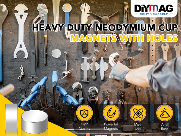 DIYMAG 40x20mm Super Strong Neodymium Disc Magnet