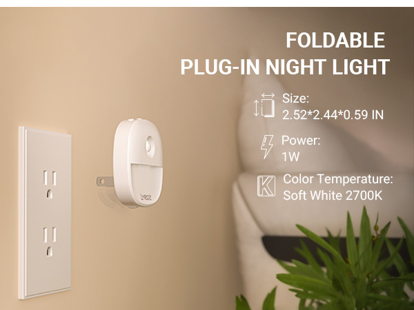 plug in night light
