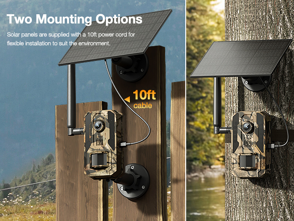 trail camera