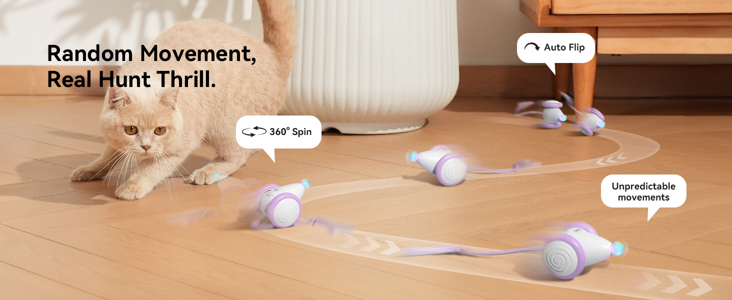 remote control mouse cat toy