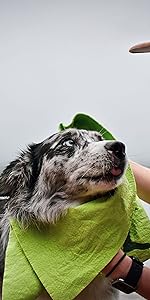 https://m.media-amazon.com/images/S/aplus-media/sc/f40fd96f-7f12-4501-8210-7296b6891306.__CR473,0,1985,3969_PT0_SX150_V1___.jpg