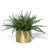 Coferset 13.5" Small Fake Plant Fern Potted Artificial Plants for Shelf Home Bathroom Office Deco...