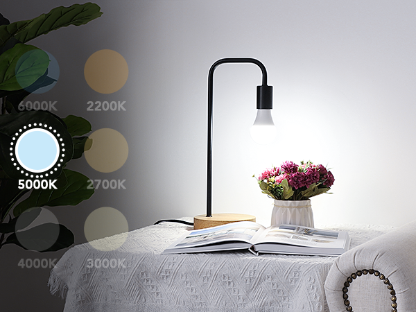 5000K Daylight White A19 Light Bulbs