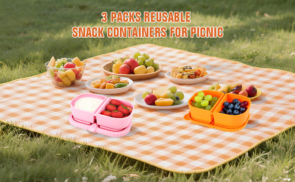 reusable lunch box