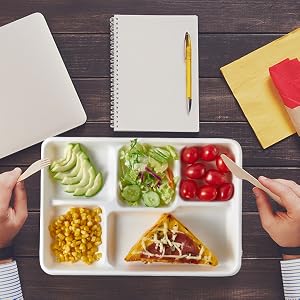 disposable paper plates