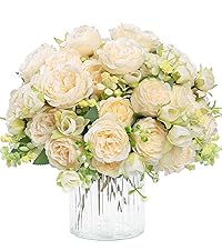 https://m.media-amazon.com/images/S/aplus-media-library-service-media/37115133-87e3-47c5-849e-d89962a0d62e.__CR89,0,1422,1600_PT0_SX200_V1___.jpg