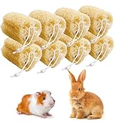Apatal 8 Pcs Rabbit Chew Toys Natural Bunny Loofah Chew Toy Chinchilla Teeth Grinding Toys Guinea...
