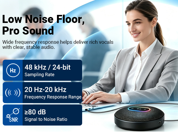 Low Noise Floor, Pro Sound