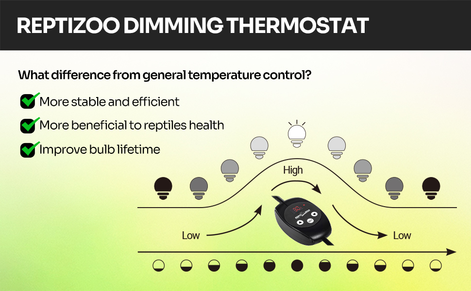 reptile thermostat