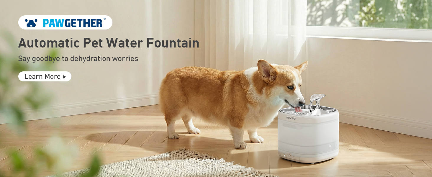 cat water fountain