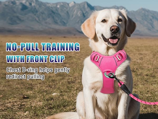 Front D ring on no pull dog harness dog collars harnesses leashes dog car harness large dog harness