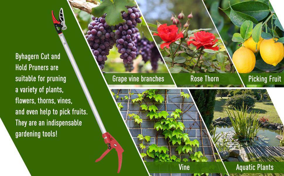 Cut and Hold Pruners