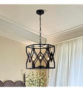 3 Light Iron Black Farmhouse Chandelier,Tricolor Rustic Birdcage Hanging Light With Hexagonal Bor...