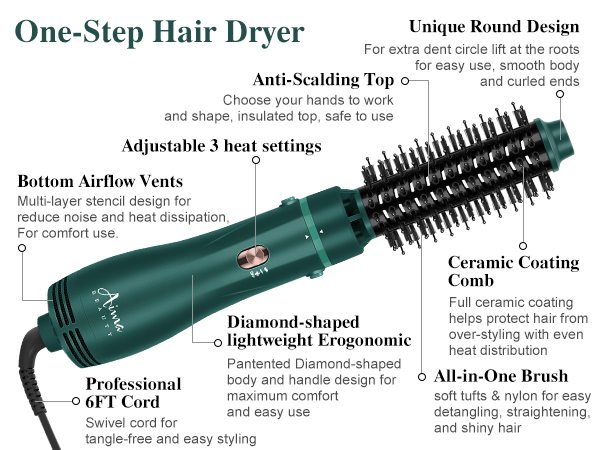 One step hair dryer brush