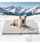 BECROWM Dog Cooling Mat Self Coolings Foldable Cooling Pad for Dog in Summer Coolings Mat for Dog...
