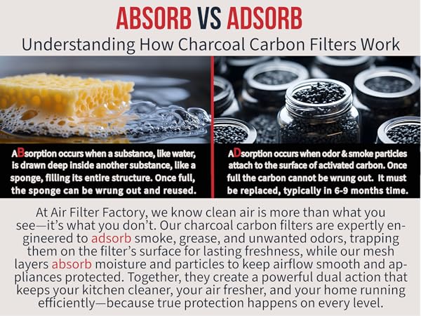 Description of absorb using a sponge and adsorb using charcoal carbon