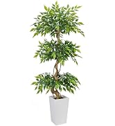 GTIDEA 6FT Ficus Artificial Tree in Tall Decorative Planter, 72 ''Tall Faux Ficus Tree with Reali...