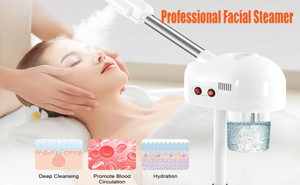 Facial Steamer