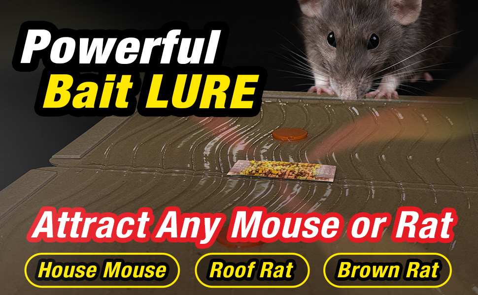 Powerful Bait Lure