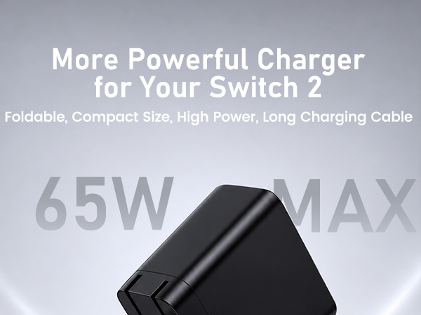 switch 2 charger