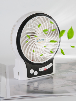 small fan